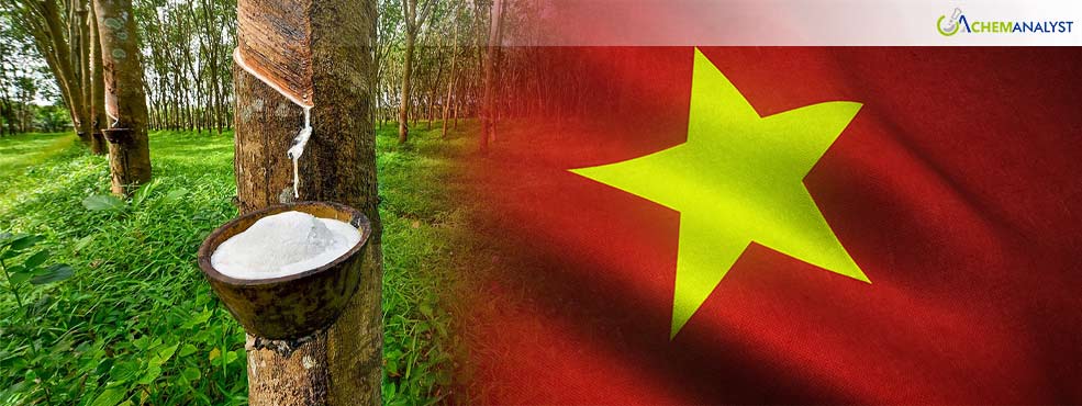 Vietnam's Rubber Boom: A Green Tide Lifting the Chemical Industry