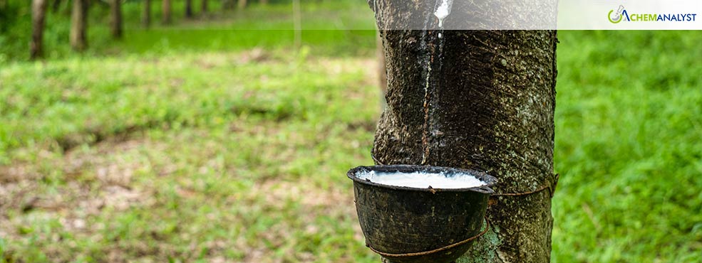 Vietnam’s Rubber Exports Surge Amid High Demand in 2024