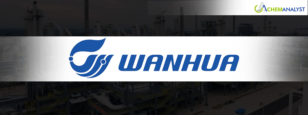 Wanhua Chemical Announces Partial Shutdown of Yantai Maleic Anhydride Plant