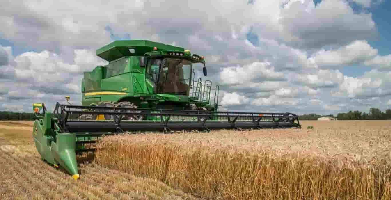 Wheat Reaches Lowest Point in Three Months Due to Abundant Russian Stocks