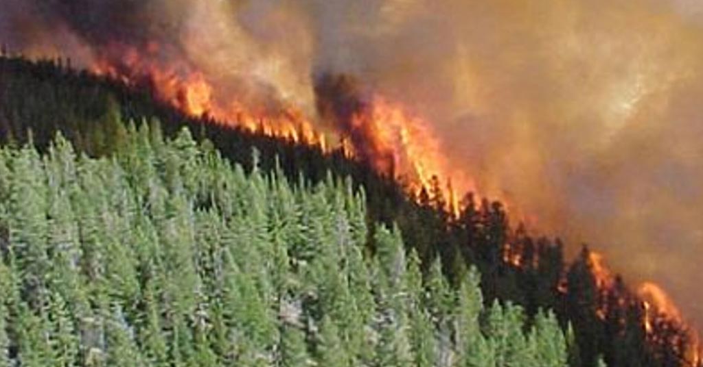 Wildfires in Alberta Cause Setback in Canadian Natural Gas and Crude Oil Production