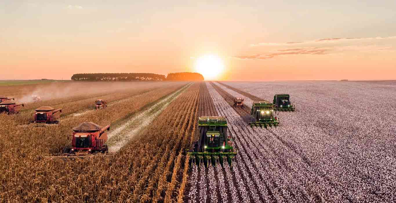 Winter Storm Alert: 'Bomb Cyclone' to Deteriorate Wheat Crop in the US