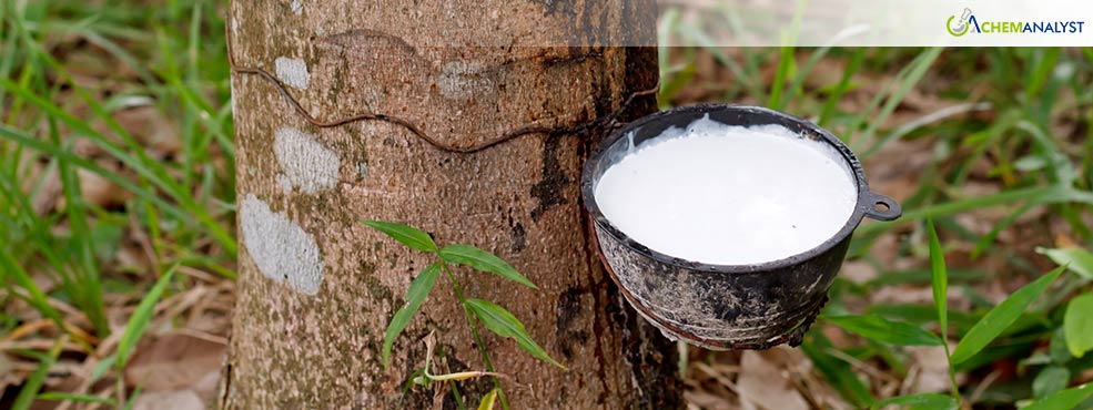 Wintering Season Squeezes Natural Rubber Supply, Prices Surge in Asia in February