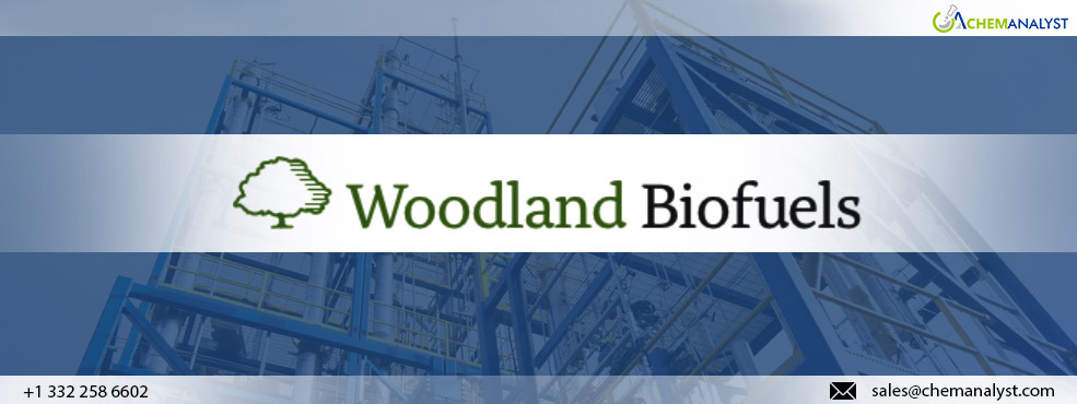 Woodland Biofuel Proposes $1.35 Billion for Largest Ultra-Green Hydrogen Plant